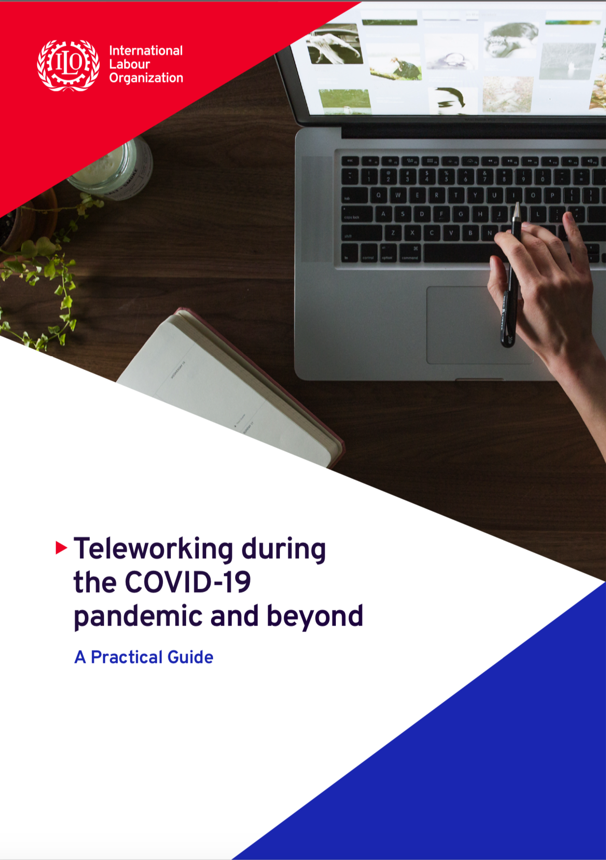 Practical Guide on Teleworking during the COVID-19 pandemic and beyond