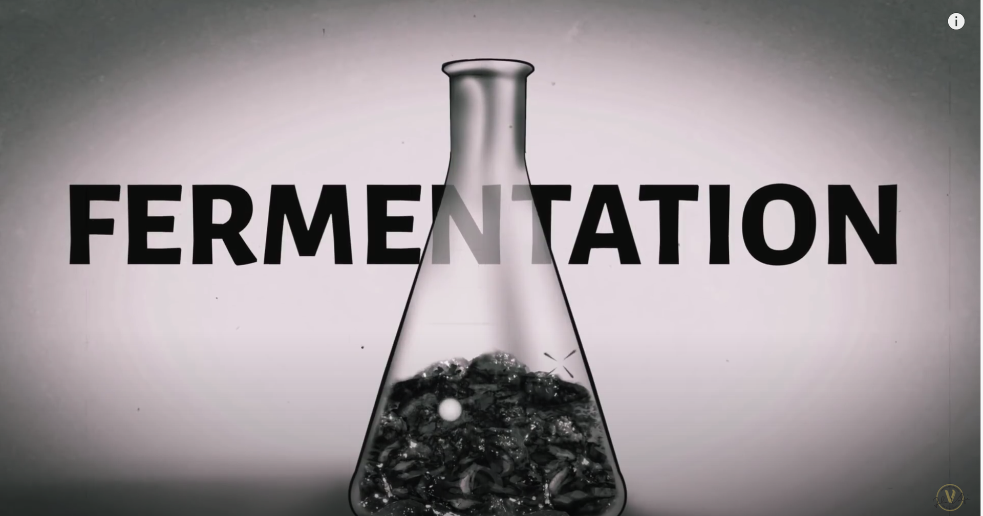 History of Fermentation