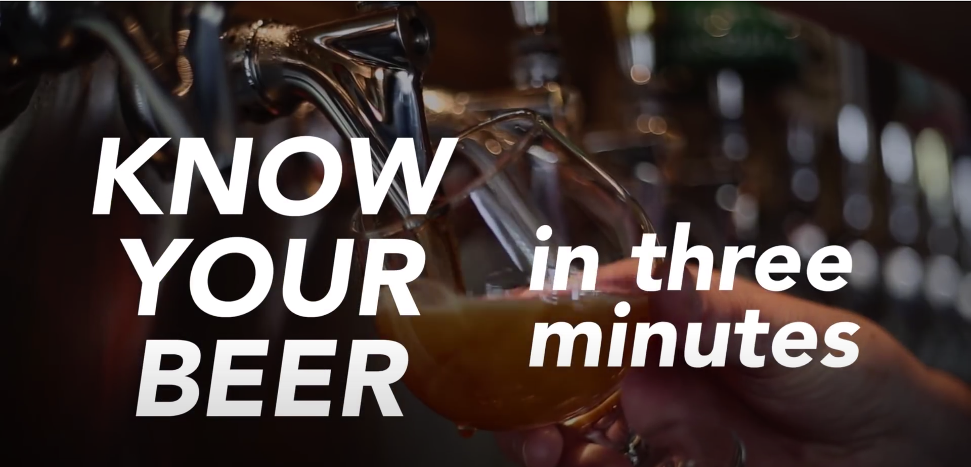 Know Your Beers In 3 Minutes - Newsy