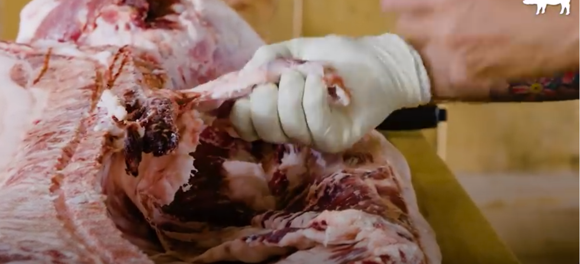 How to Butcher an Entire Pig: Every Cut of Pork Explained | Handcrafted