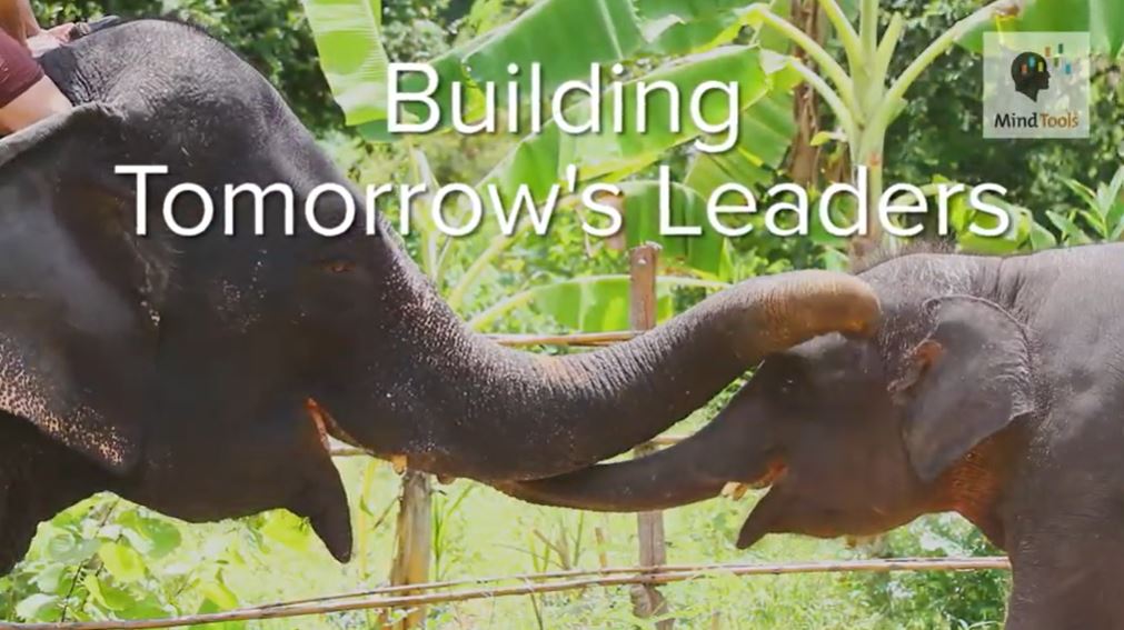 Building Tomorrow's Leaders