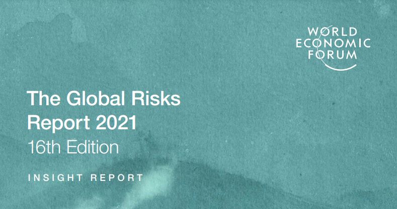The Global Risks Report 2021