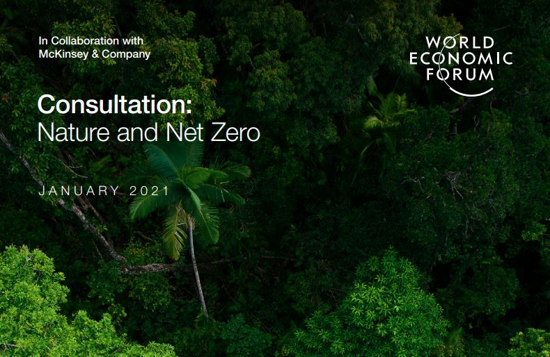 Consultation: Nature and Net Zero