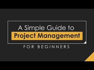 Project Management for Beginners: A Simple Guide (2020)