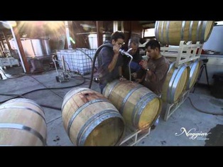 Vine to Wine, Winemaking at Naggiar Vineyards