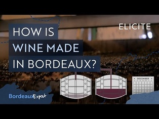 Red Winemaking in Bordeaux Explained