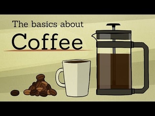 The basics about: Coffee