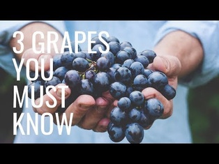 Master Sommelier Reveals 3 Wine Grapes You Must Know - Wine Oh TV