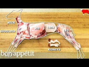 How to Butcher an Entire Lamb: Every Cut of Meat Explained | Handcrafted | Bon Appetit