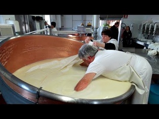 INSIDE THE FACTORY | CHEESE MAKING & DAIRY MAKING
