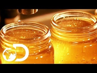 HONEY | How It's Made